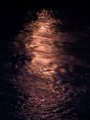 Reflet nocturne dans la sarthe - Fresnay sur Sarthe